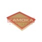 KAMOKA F220501