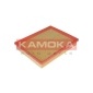 KAMOKA F220501