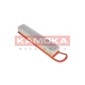 KAMOKA F221601
