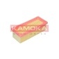 KAMOKA F228701