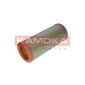 KAMOKA F235601