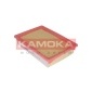 KAMOKA F237301