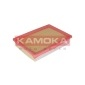 KAMOKA F237301