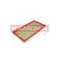 KAMOKA F236701
