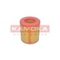 KAMOKA F236701