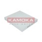 KAMOKA F412001