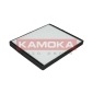 KAMOKA F411001