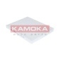 KAMOKA F413201