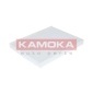 KAMOKA F413201
