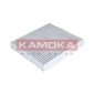 KAMOKA F504701