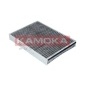 KAMOKA F507701