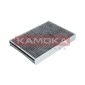 KAMOKA F507701