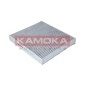 KAMOKA F509701