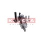 KAMOKA R0077
