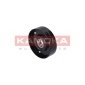 KAMOKA R0202