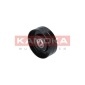KAMOKA R0203