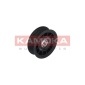 KAMOKA R0299