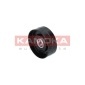 KAMOKA R0309