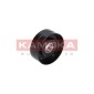 KAMOKA R0309