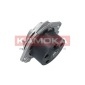 KAMOKA T0001