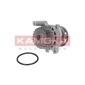 KAMOKA T0033