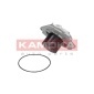 KAMOKA T0002