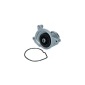 KAMOKA T0021