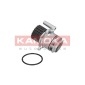 KAMOKA T0023