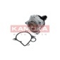 KAMOKA T0062