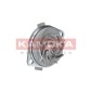 KAMOKA T0113