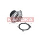 KAMOKA T0117