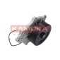 KAMOKA T0176