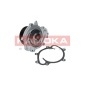 KAMOKA T0191