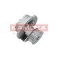 KAMOKA T0236