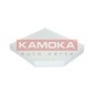 KAMOKA F414701