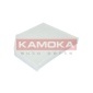KAMOKA F414701