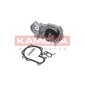 KAMOKA T0241