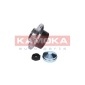 KAMOKA 5500031