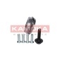 KAMOKA 5500153