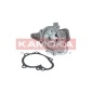 KAMOKA T0158