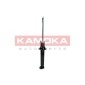 KAMOKA 2000013