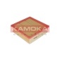 KAMOKA F222101