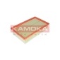 KAMOKA F231701