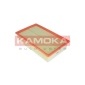 KAMOKA F231701