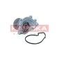 KAMOKA T0312