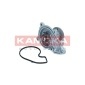 KAMOKA T0312