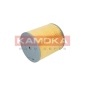 KAMOKA F216101