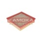 KAMOKA F216601
