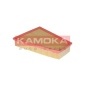 KAMOKA F234301