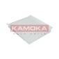 KAMOKA F410801